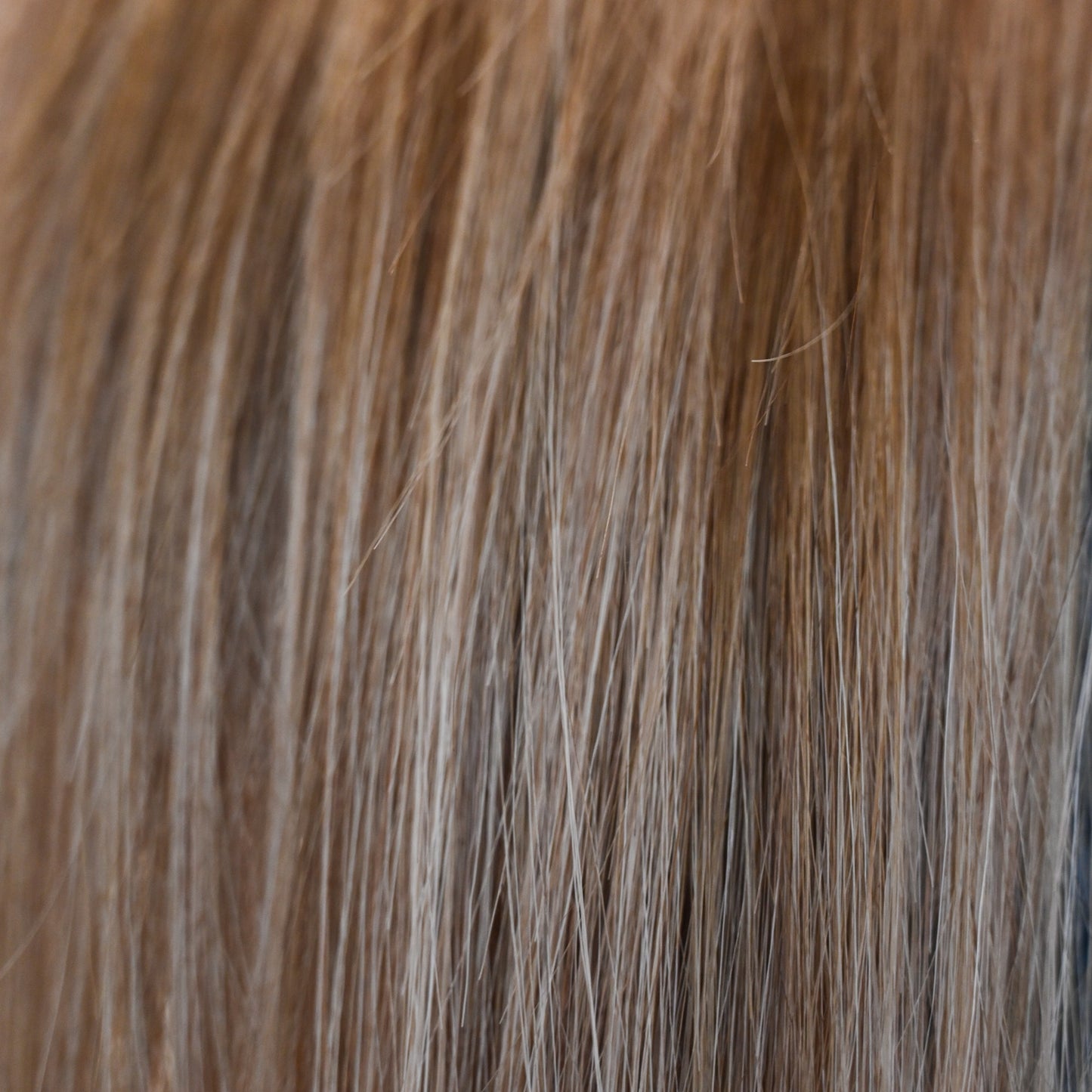 #CARAMEL FUDGE GENIUS WEFT RUSSISCHES GLATTES HAAR  60CM ♡