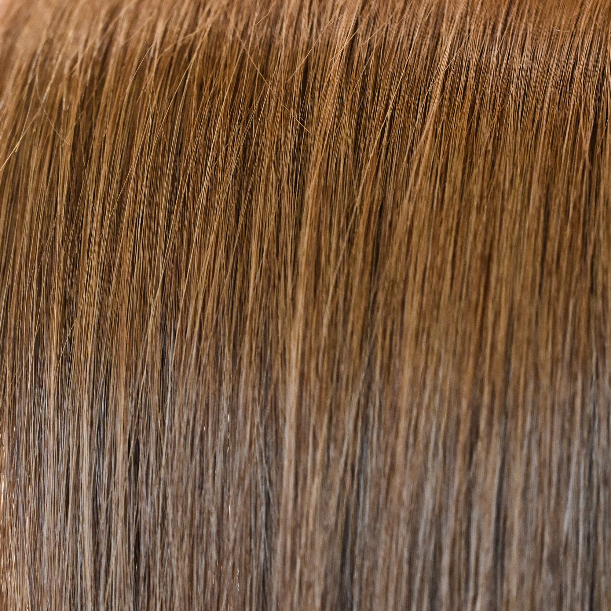 #4 SAMTBRAUN - ASCHBRAUNE US WELLIGE TRESSEN ECHTHAAR GENIUS WEFT EXTENSIONS♡